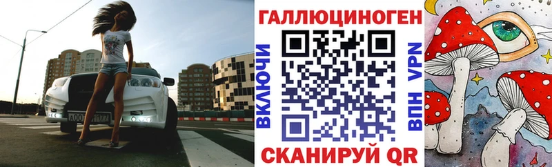 Псилоцибиновые грибы Psilocybine cubensis  mega ссылки  Солигалич 